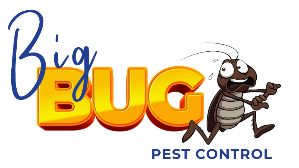 Big-Bug-Logo-V1